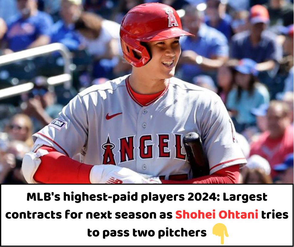 MLB's highestpaid players 2024 Largest contracts for next season as